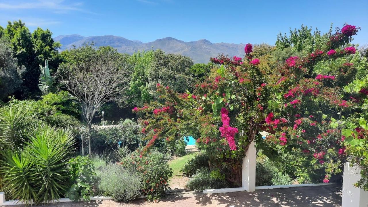 Alba House Guest House Paarl Exterior photo